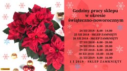 Ładne Kwiatki od pokoleń w grudniu