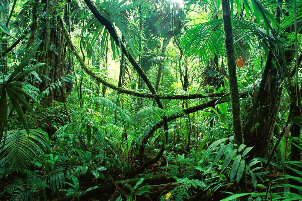 Moda na urban jungle w domu
